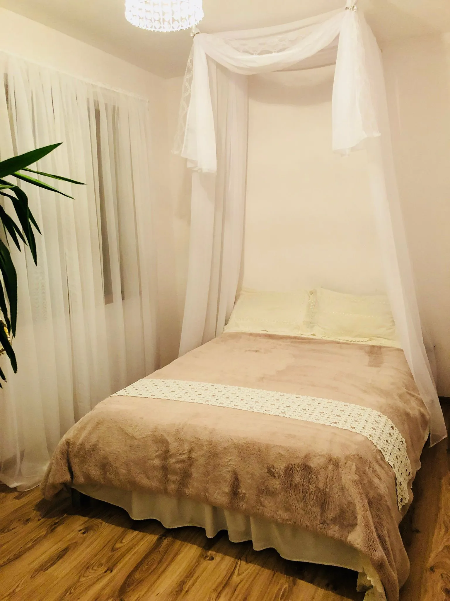 zdjęcie whatsapp 2025 10 19 o 13.04.36 6065041e