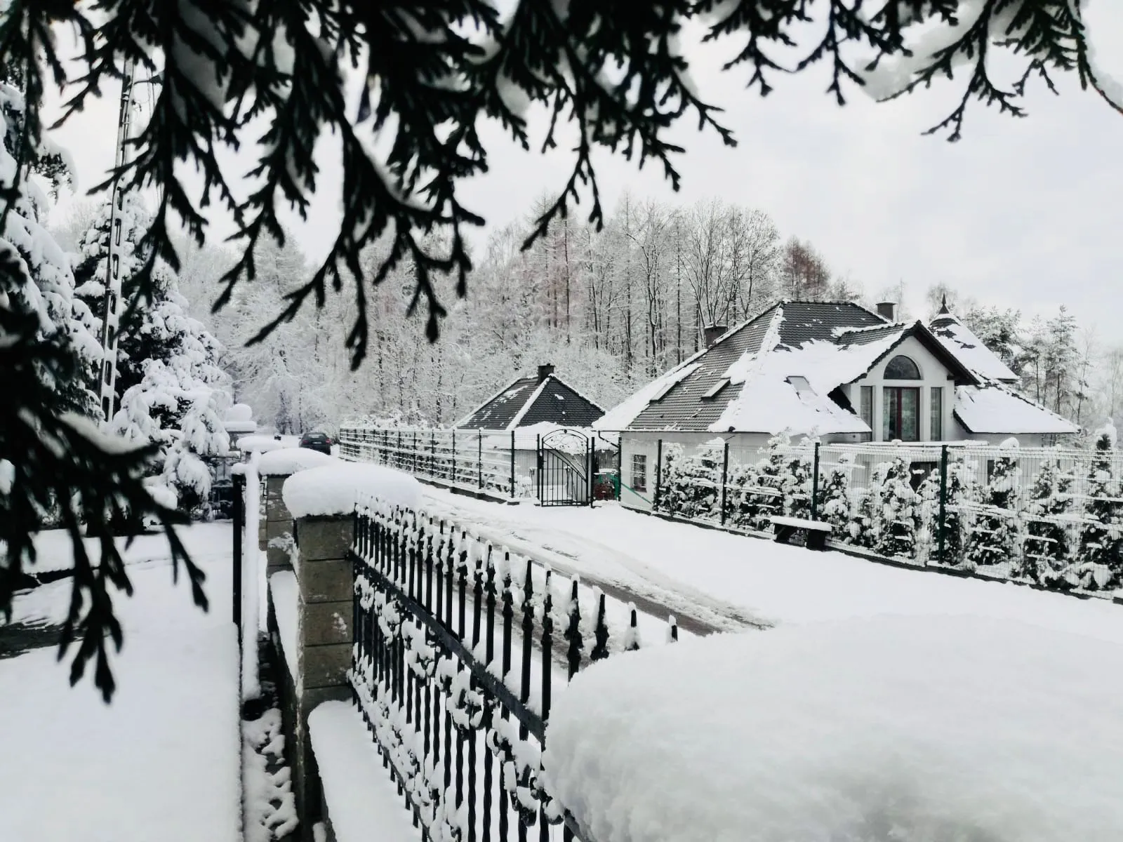 zdjęcie whatsapp 2025 10 19 o 13.04.37 1707a360