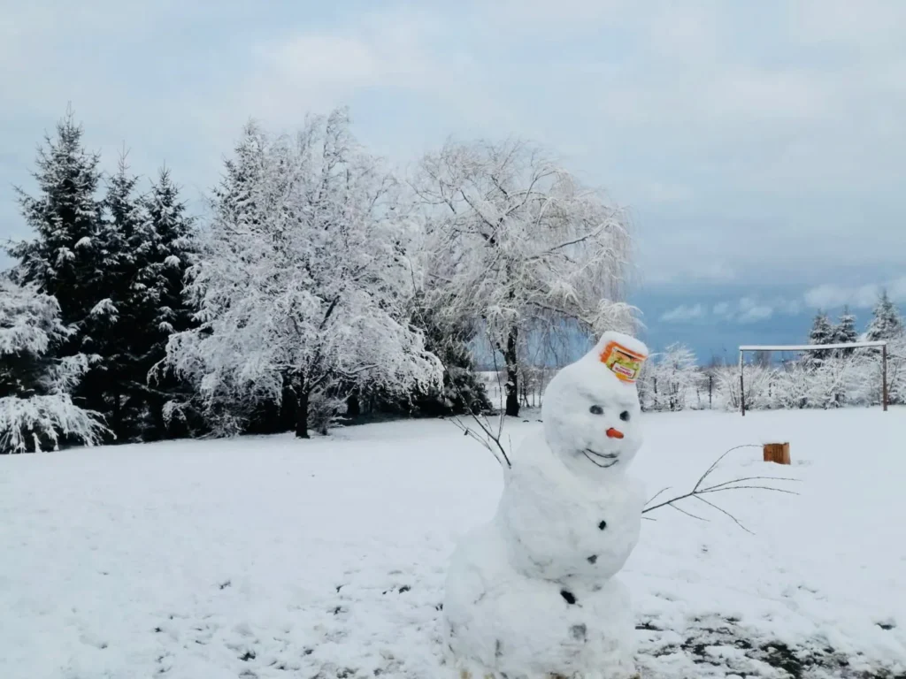 zdjęcie whatsapp 2025 10 19 o 13.04.37 2586a290