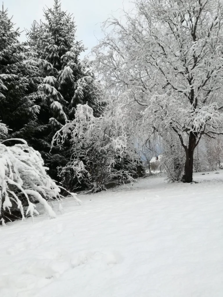 zdjęcie whatsapp 2025 10 19 o 13.04.37 4a4af0e2