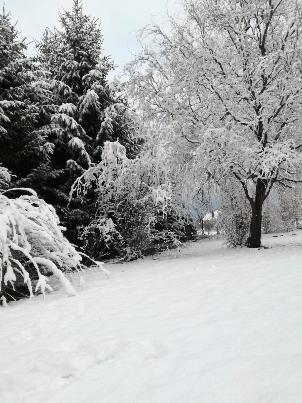 zdjęcie whatsapp 2025 10 19 o 13.04.37 4a4af0e2